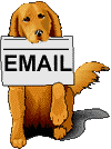 dogmail